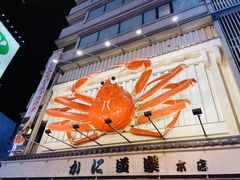-蟹道乐(道顿堀本店)