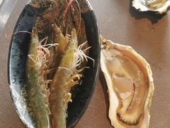 活海虾-川骄海鲜自助(亚运村店)