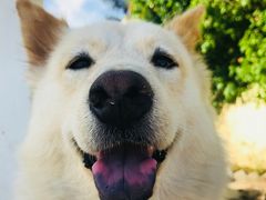 -西涌国际滨海旅游区