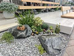 -喜茶(珠海华发商都店)