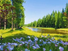 -黄海国家森林公园