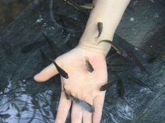 -三亚珠江南田温泉度假区