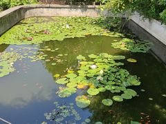 -亮河湾山庄