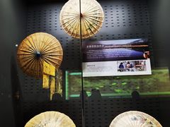 -中国扇博物馆
