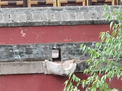 -须弥福寿之庙