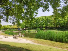 -美兰湖景区