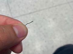 -武圣羊汤·西北面(朝阳门店)