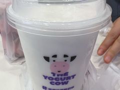 暖暖奶香燕麦酸奶雪顶-一只酸奶牛(兰州中心店)