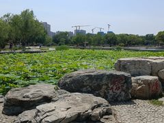 -太阳宫公园