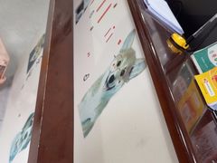 -谐和益家动物医院·免疫绝育·血液透析·宠保定点医院(高新伊藤分院)