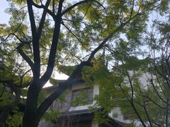 -龙潭水乡