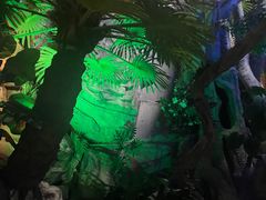 -泉城欧乐堡海洋极地世界