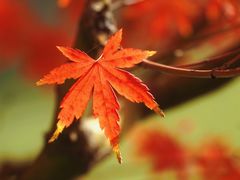 -上海交通大学(闵行校区)