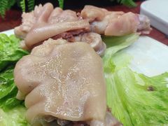 -丁老爷子苏香圆