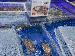 -盒马鲜生(枣园路店)