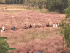 -艾溪湖湿地公园