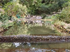 -成都市活水公园