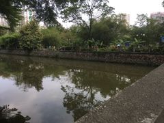 -晓港公园