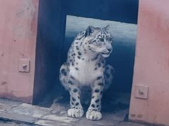 -青藏高原野生动物园