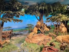 -国家自然博物馆