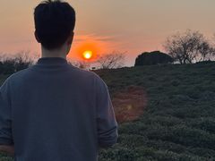 -方山风景区定林寺