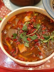 -新城花园酒店·宴会厅