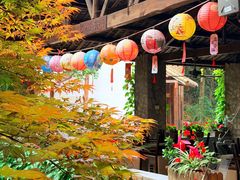 -巴倒烫陆派火锅山庄(南山总店)