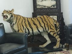 -张学良旧居陈列馆