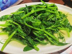 清炒豌豆尖-懒人盐府人家(安贞店)