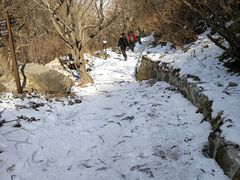 -阳台山自然风景区