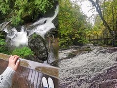 -龙苍沟森林公园