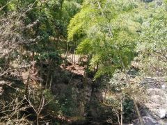 -众神白水涧景区