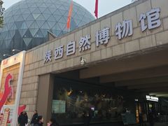-陕西自然博物馆