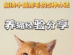 -美迦爱-牙专科·兔科·骨科诊疗中心(北苑店)
