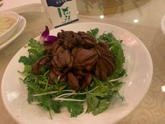 -九花山烤鸭店