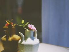 -茶是一枝花泡茶店