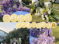 -芭厘农庄老字号·清远鸡