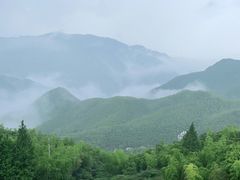 -江南天池