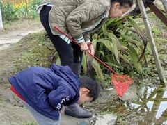-洪湖家庭农场·团建·露营·会议