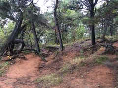 -北山公园