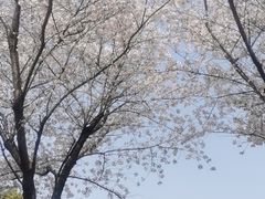 -昆山城市公园
