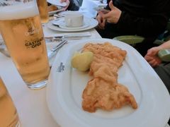 维也纳炸猪排-Plachuttas Gasthaus zur Oper