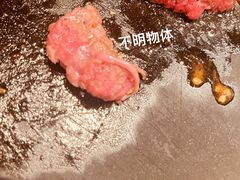 -比萨玛尚诺(月星环球港店)