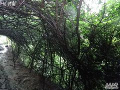 -雁荡山三折瀑景区