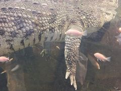 -哈尔滨波塞冬海底世界