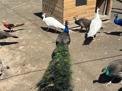 -水上乐园·欢乐世界