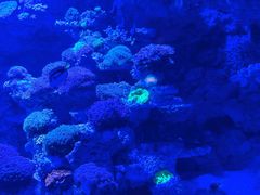 -太平洋海底世界