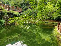 -花溪风景区