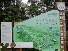 -广州市帽峰山景区