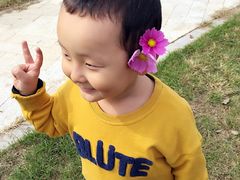 -武清南湖绿博园